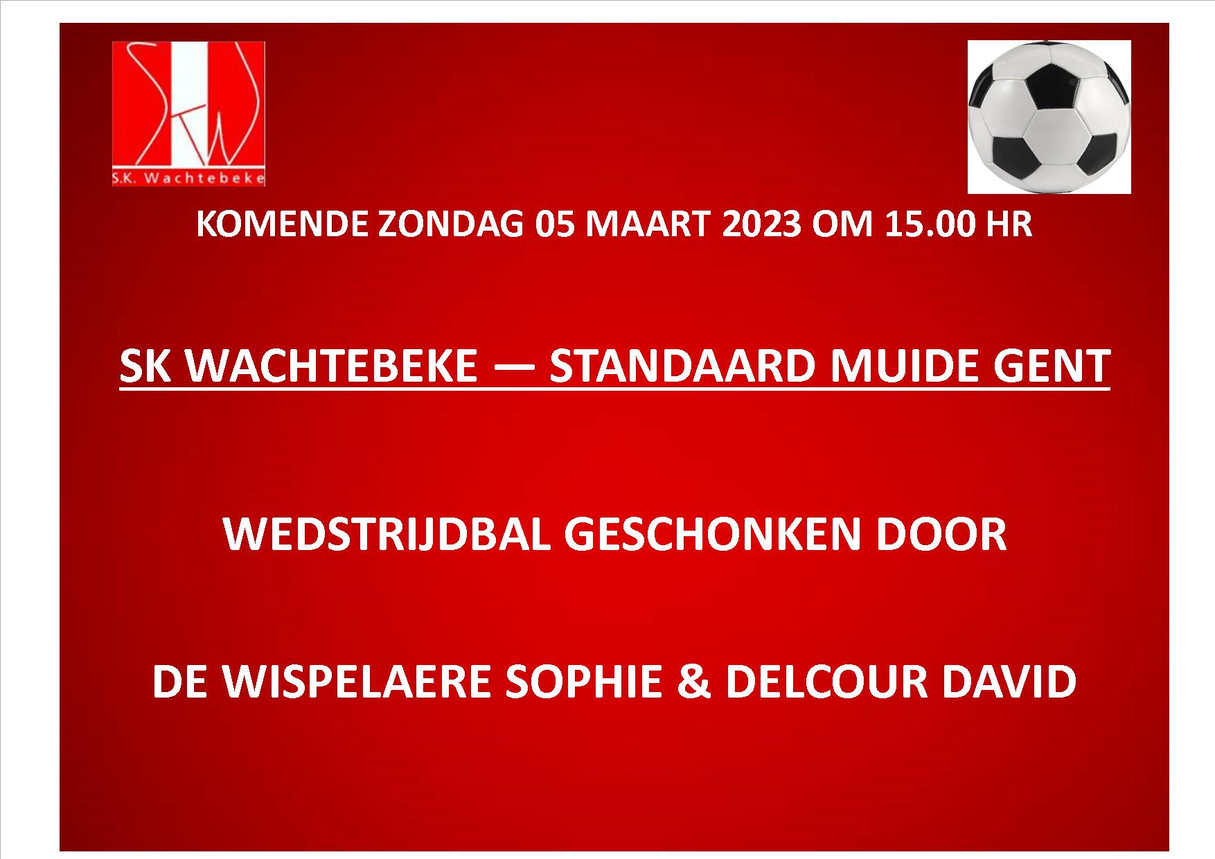 Wedstrijdbal